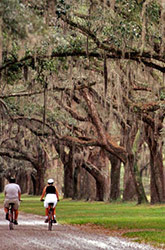 Charleston Savannah multisport photo